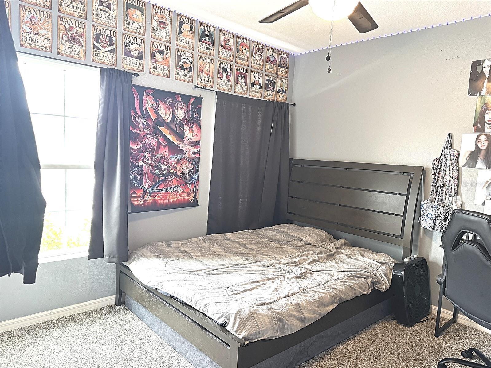 Photo #16