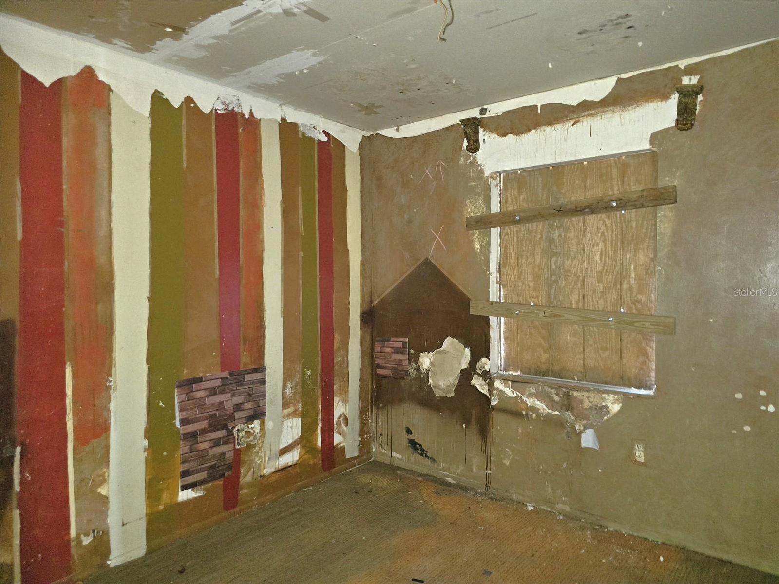 Photo #13