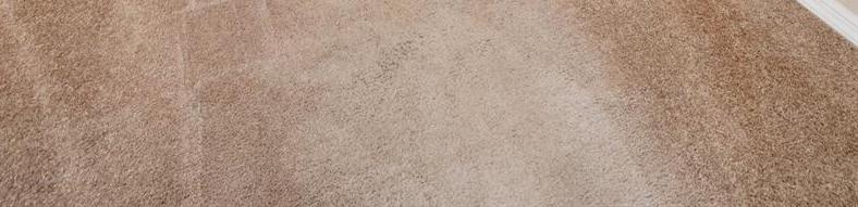 Photo #14