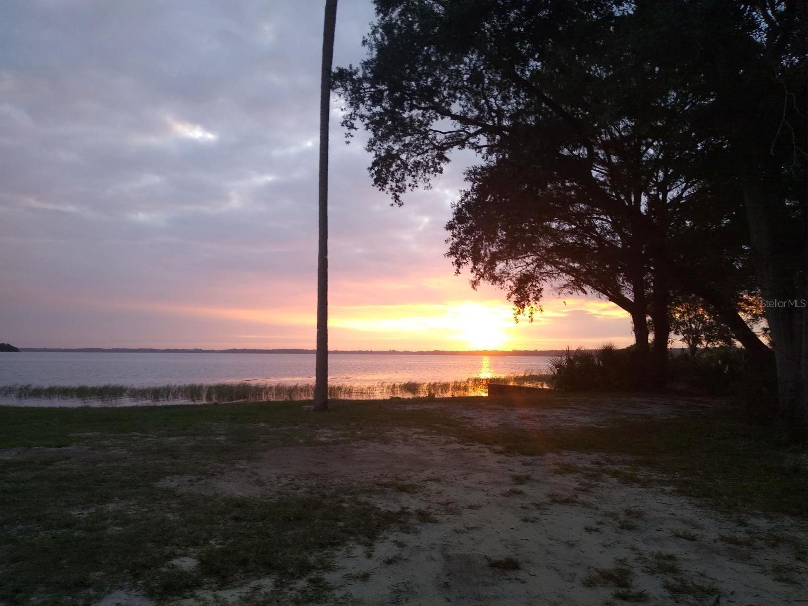 Photo #39