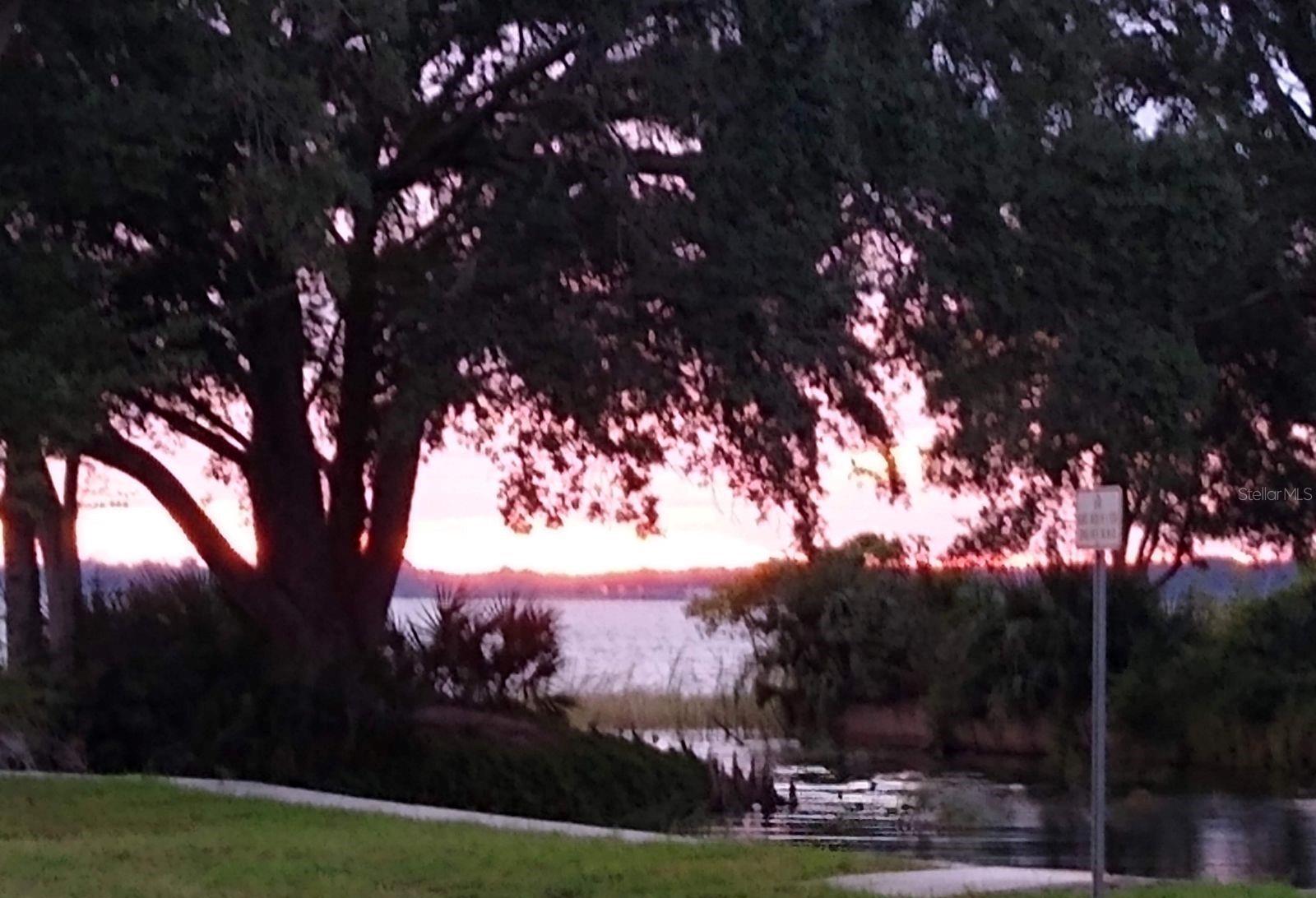 Photo #38
