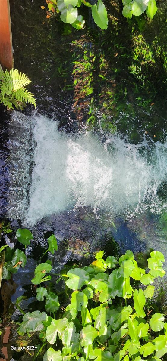 Photo #38