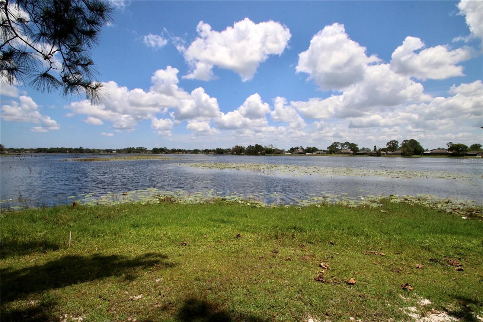 Photo #38