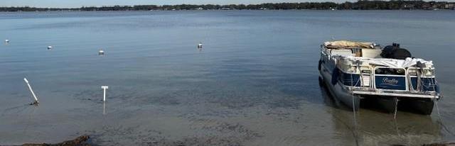 Photo #5