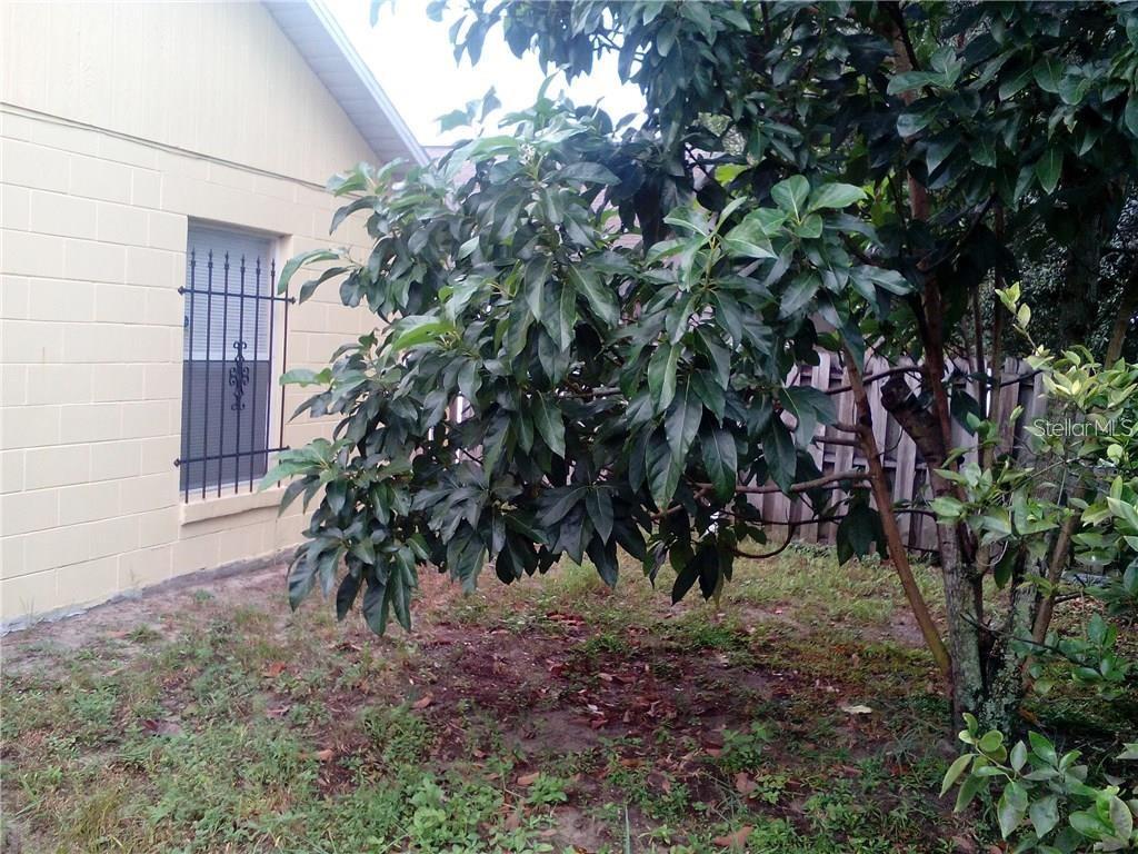 Photo #2