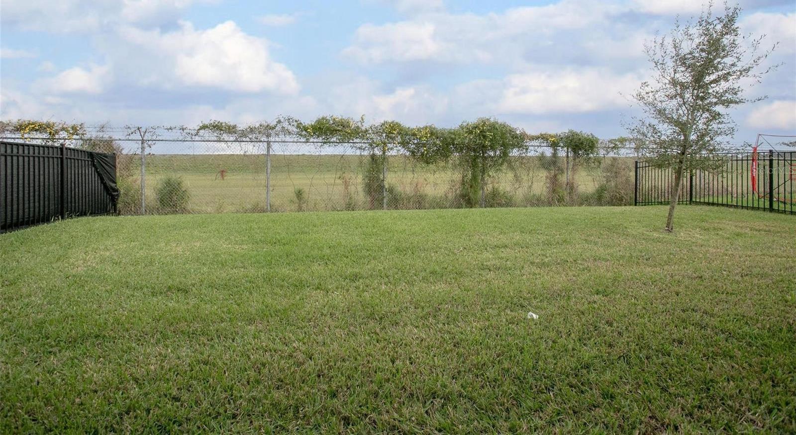 Photo #31