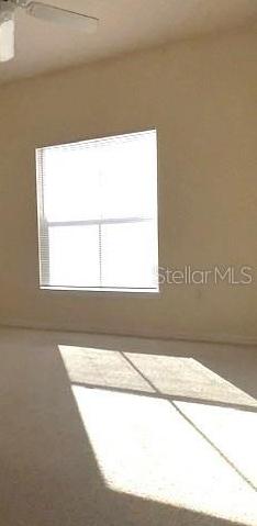 Photo #10