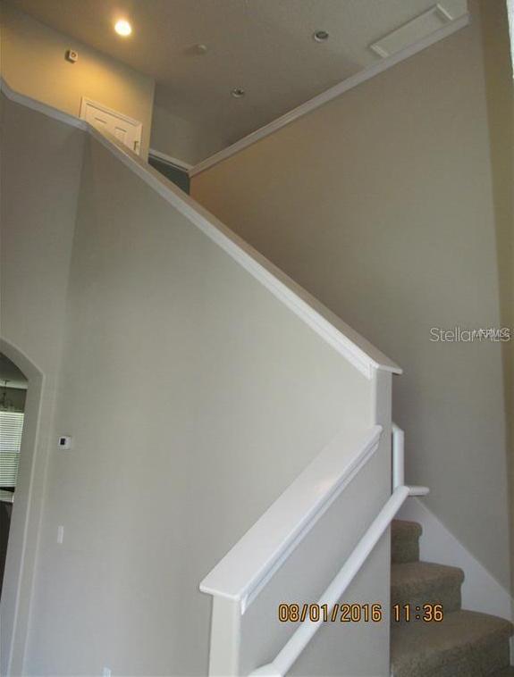 Photo #15