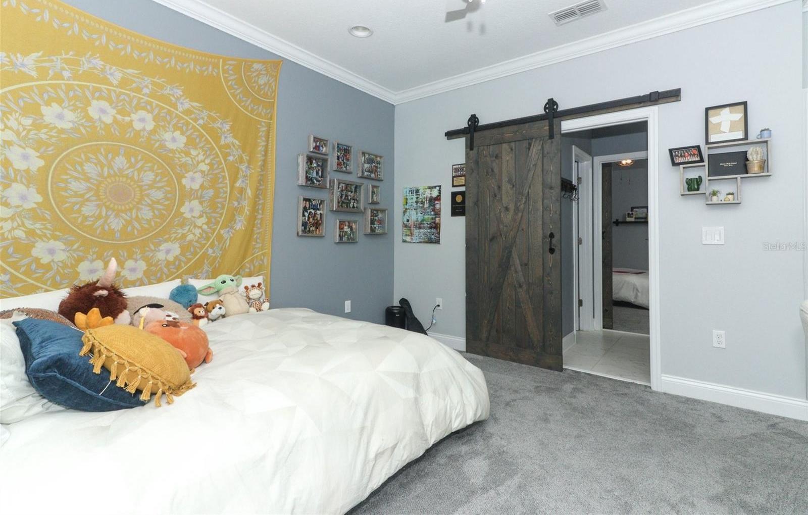 Photo #42