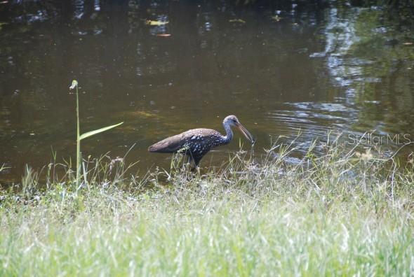 Photo #41