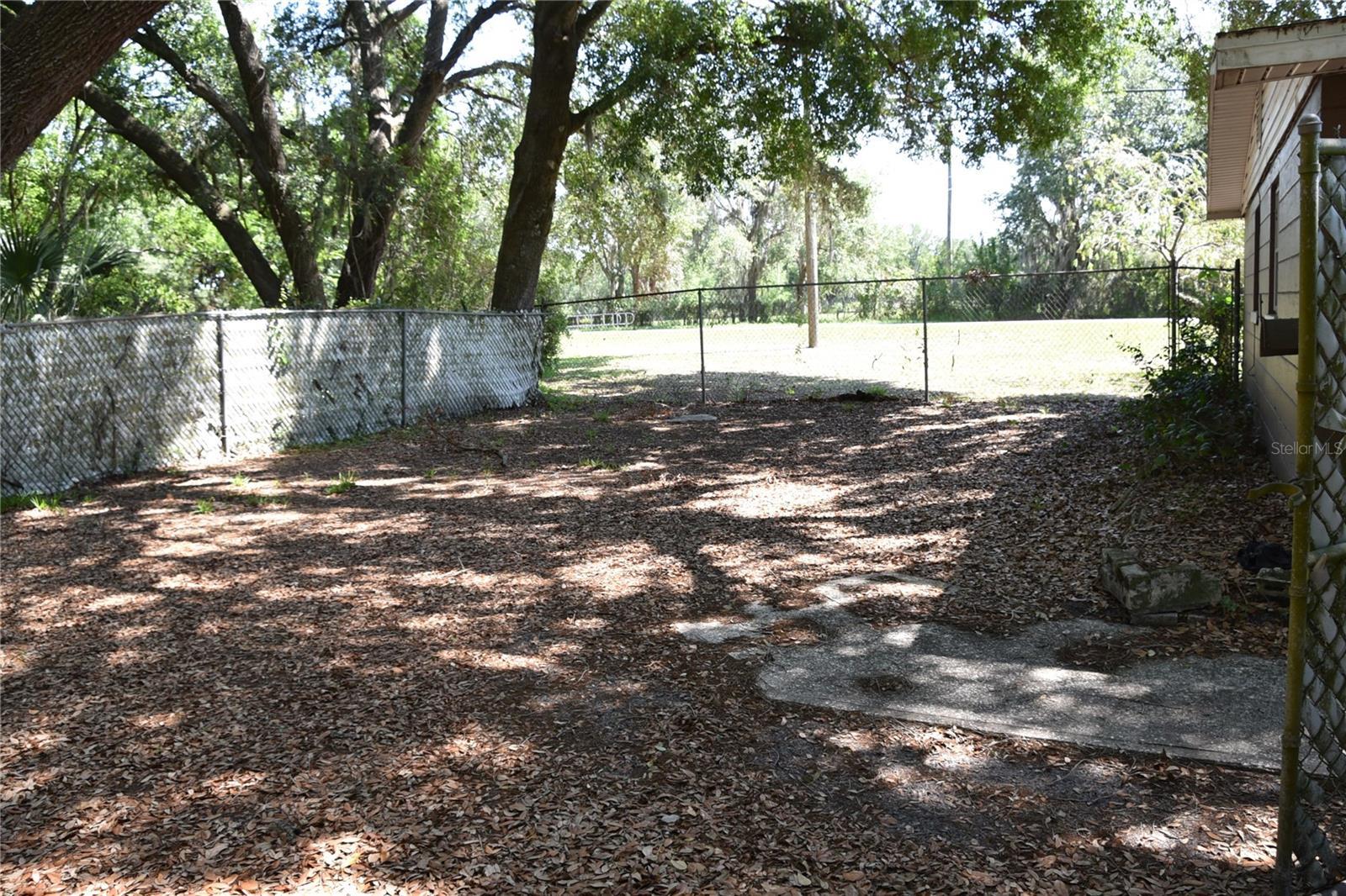 Photo #26