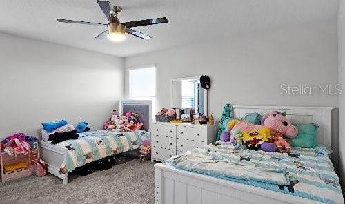Photo #39