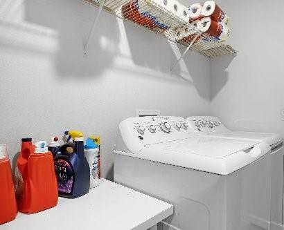 Photo #41