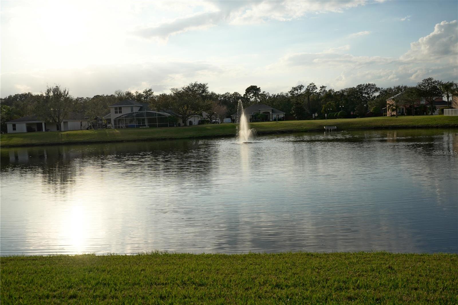 Photo #34