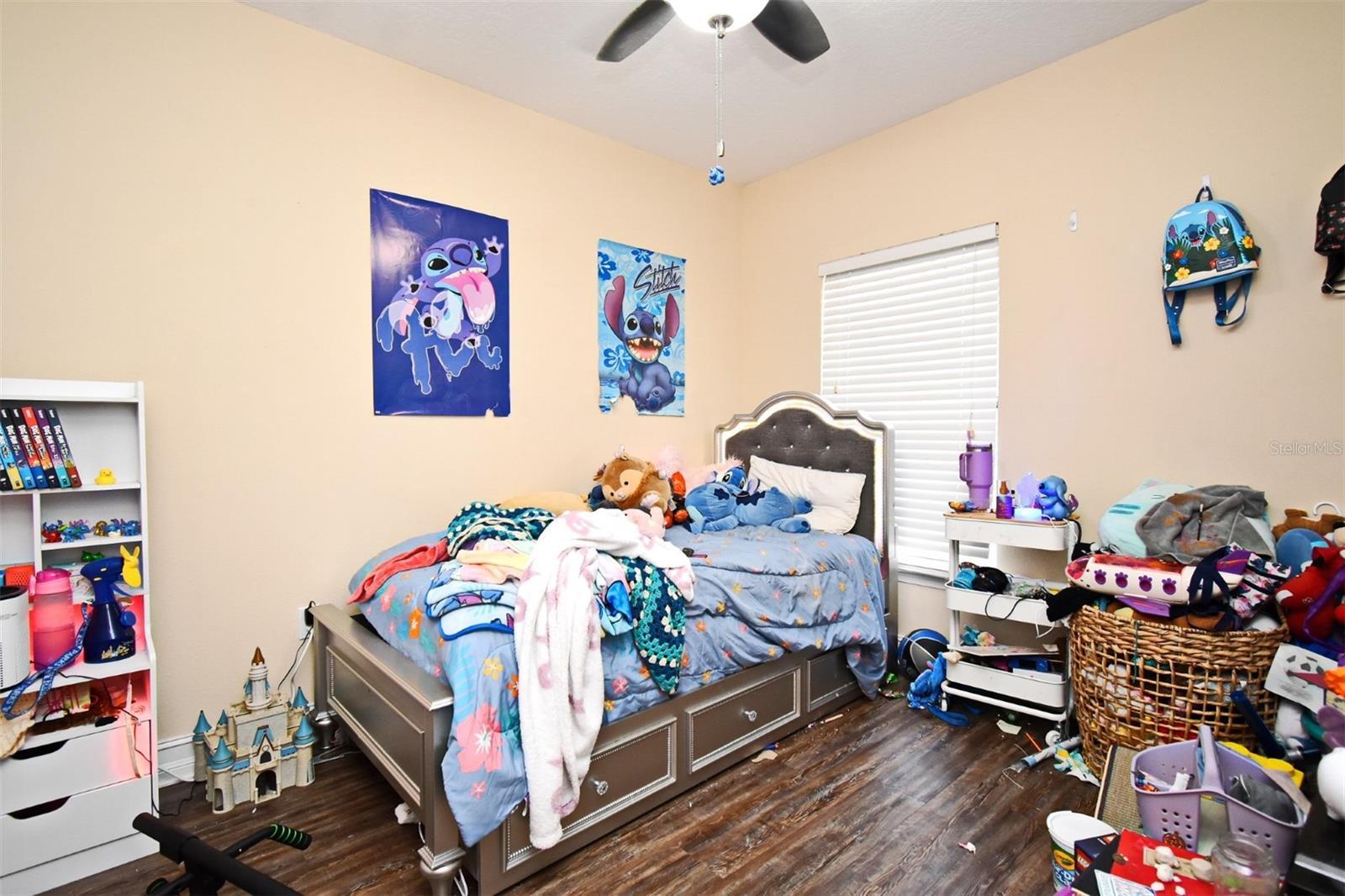 Photo #19