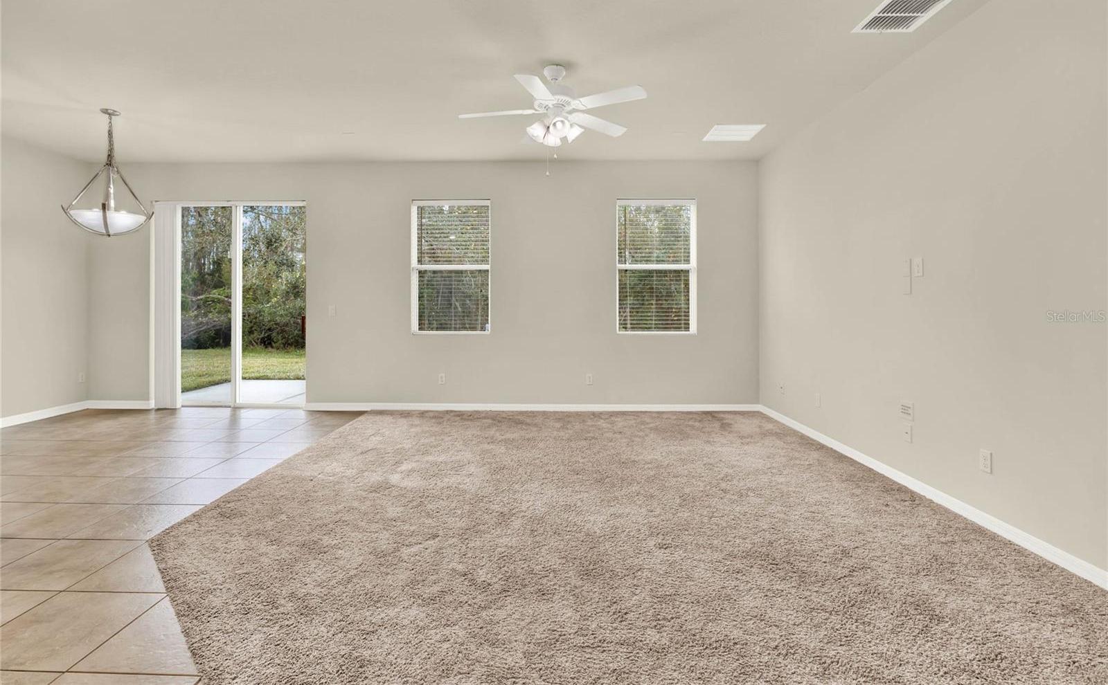 Photo #3
