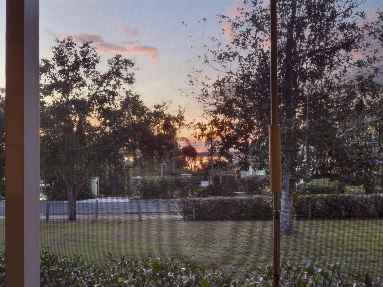 Photo #42