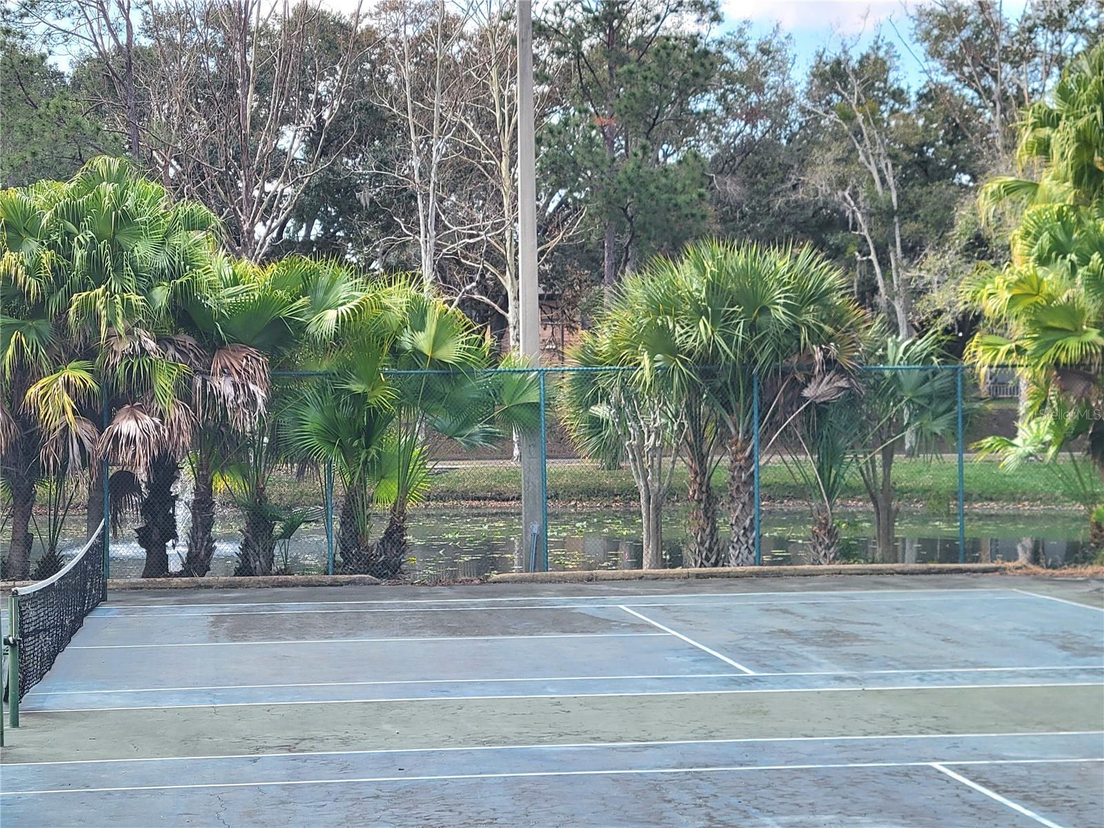 Photo #39