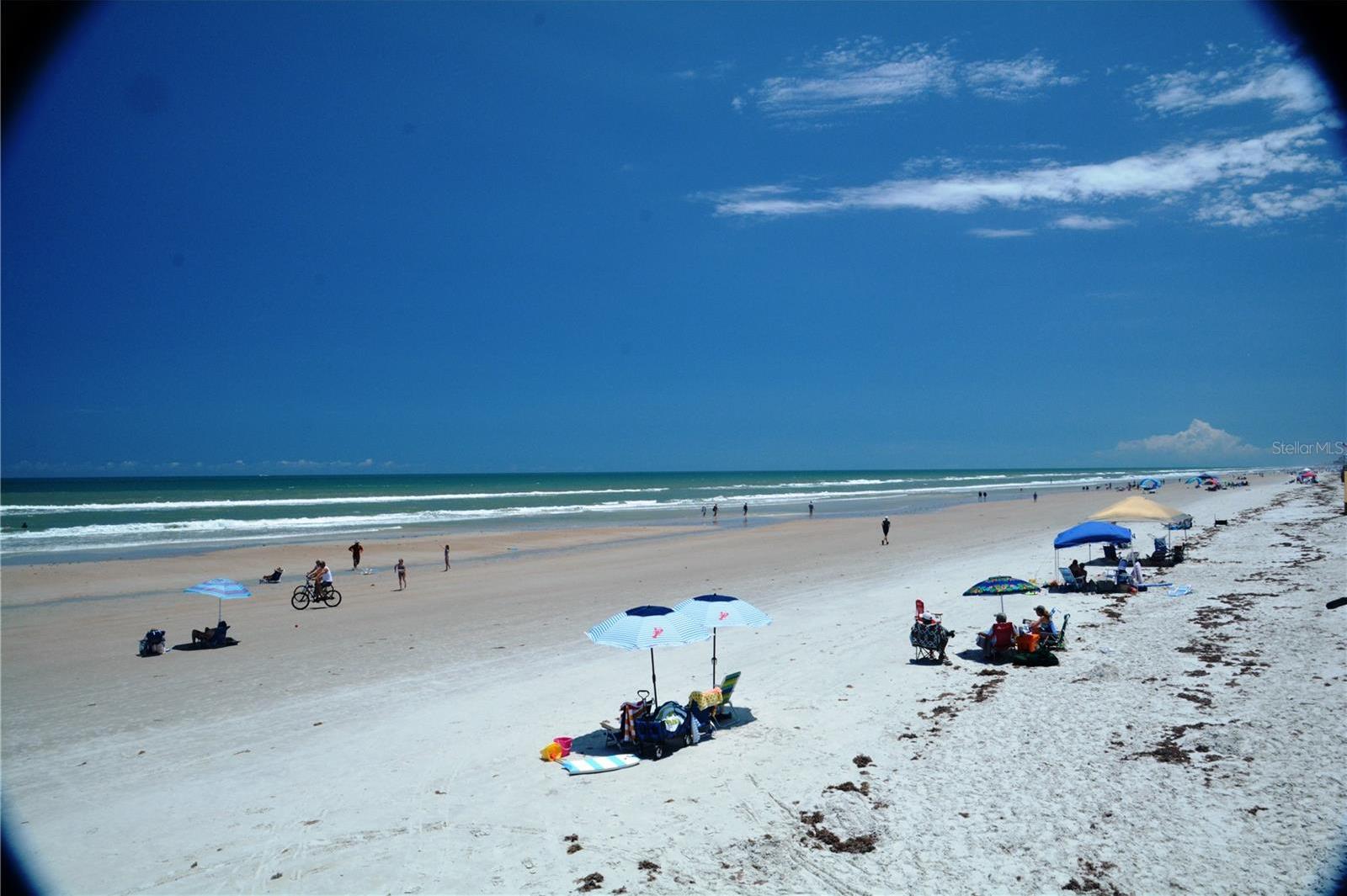 Photo #24