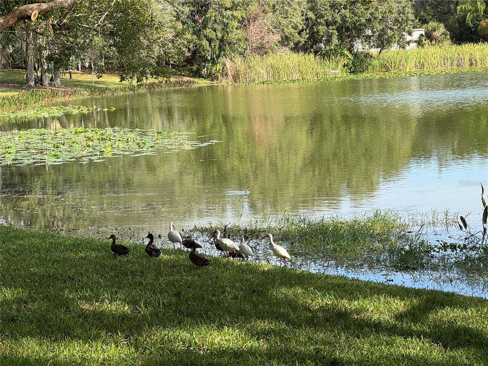 Photo #24