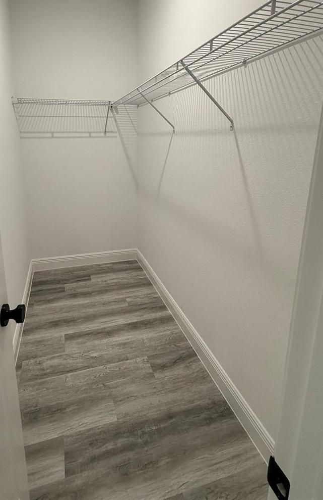 Photo #17