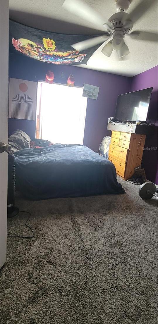 Photo #22