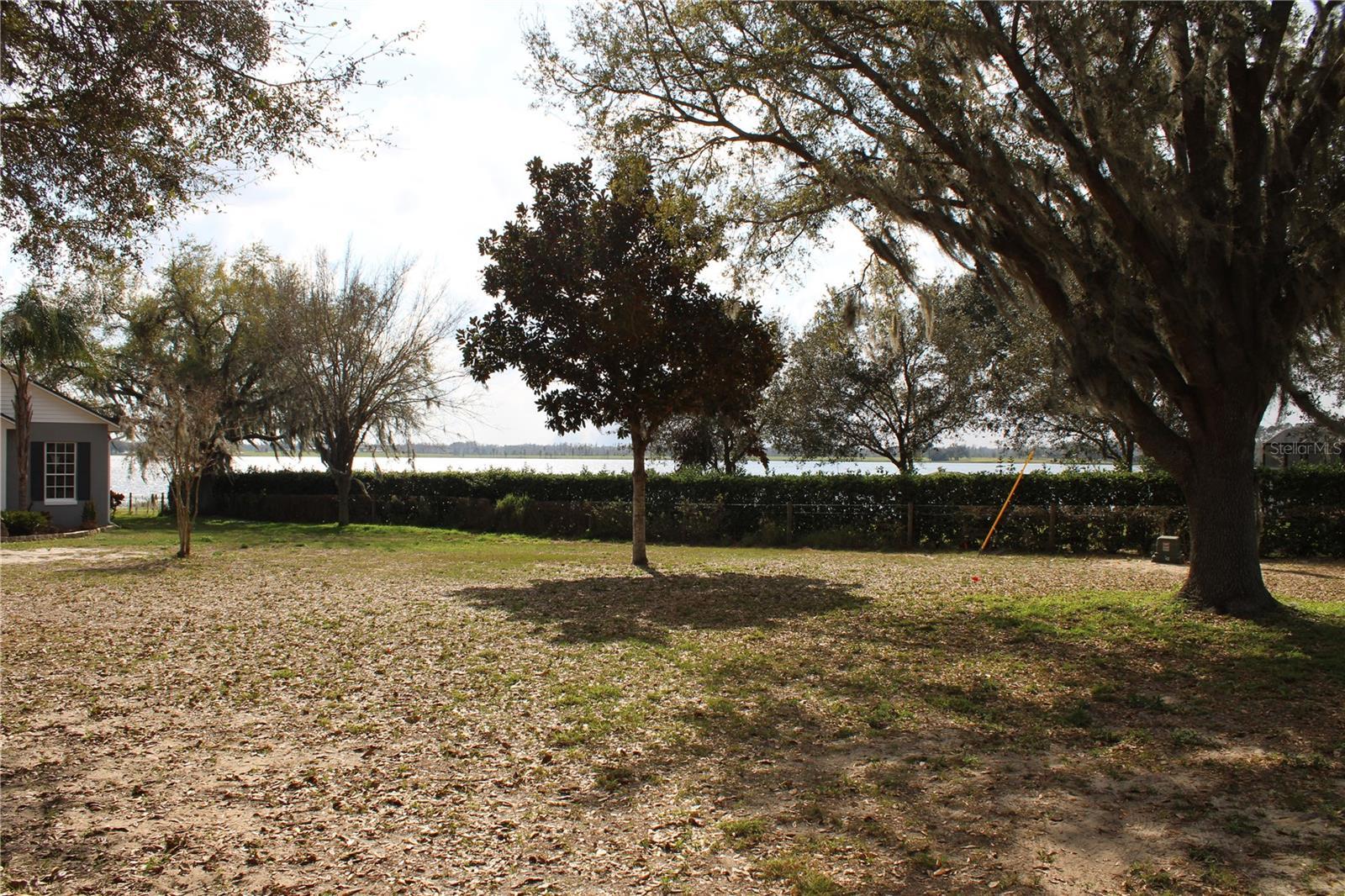 Photo #24