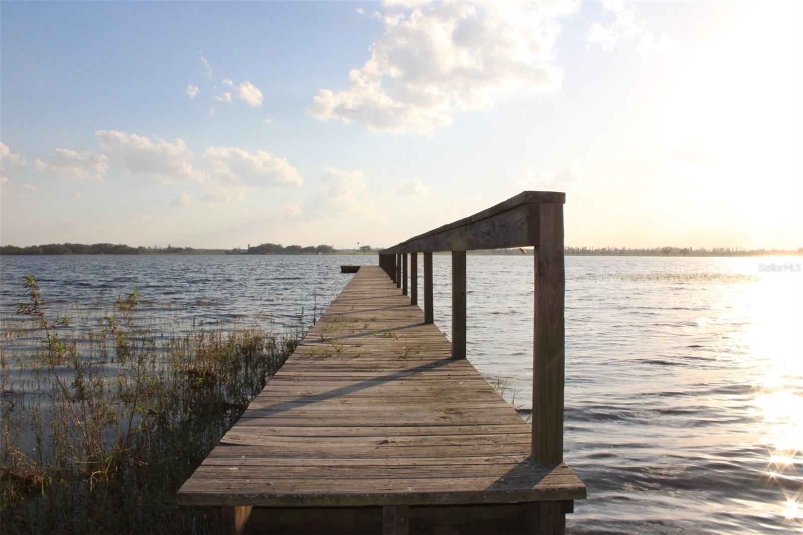 Photo #12