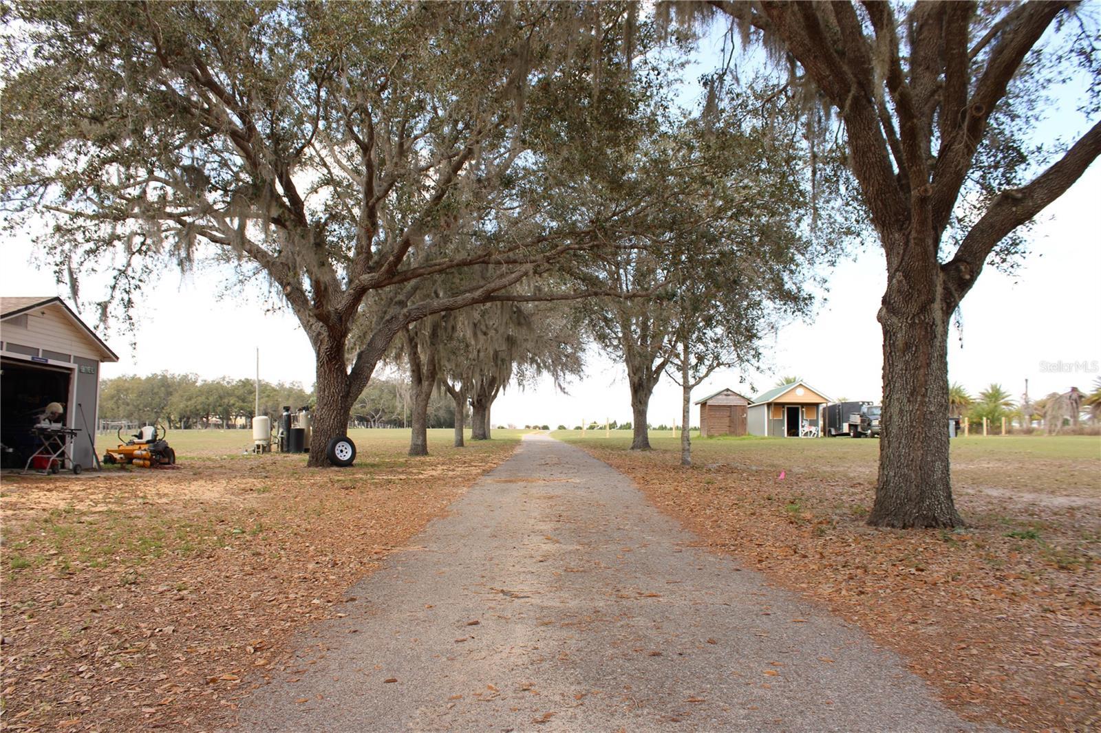 Photo #5