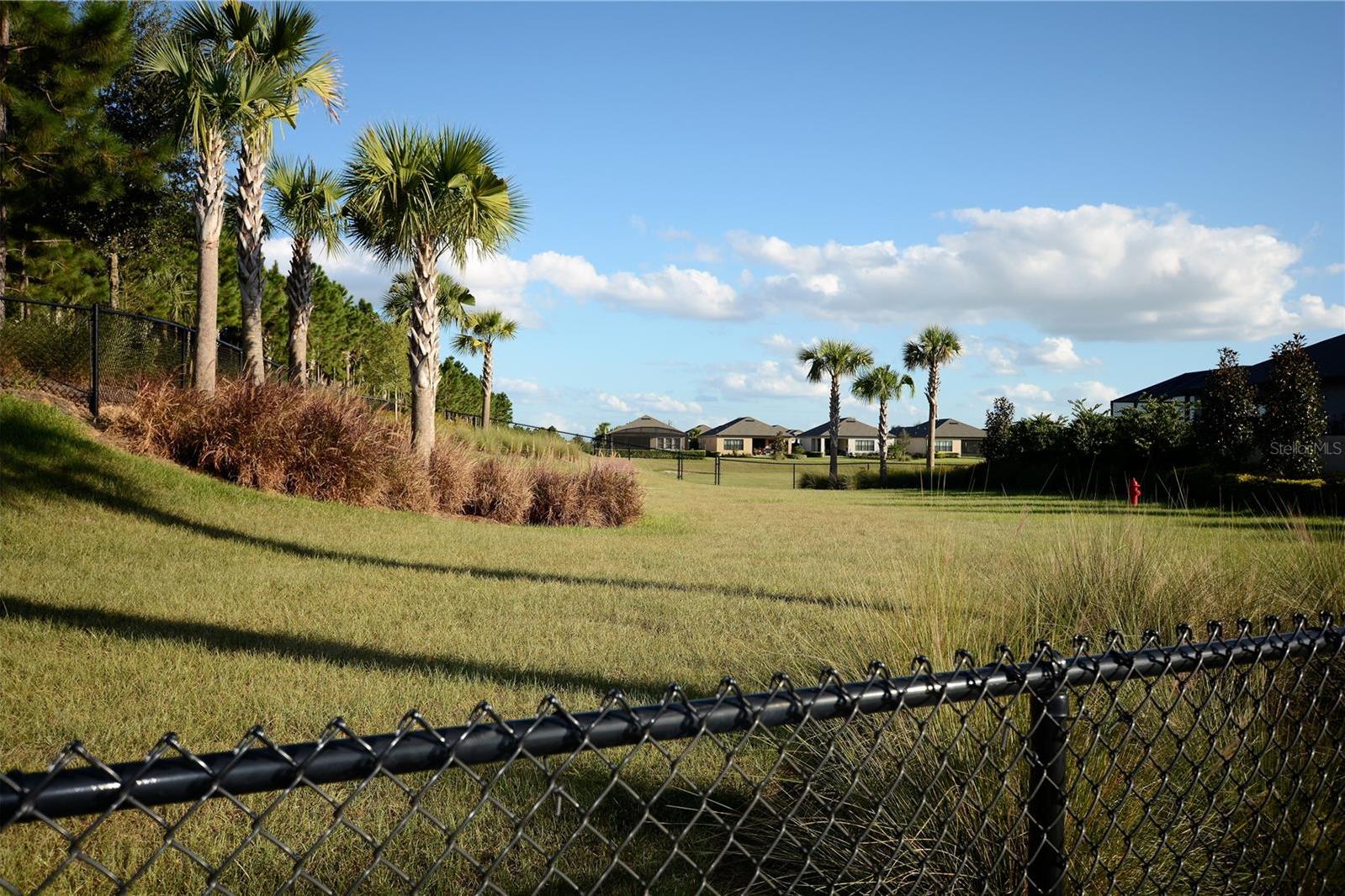 Photo #66