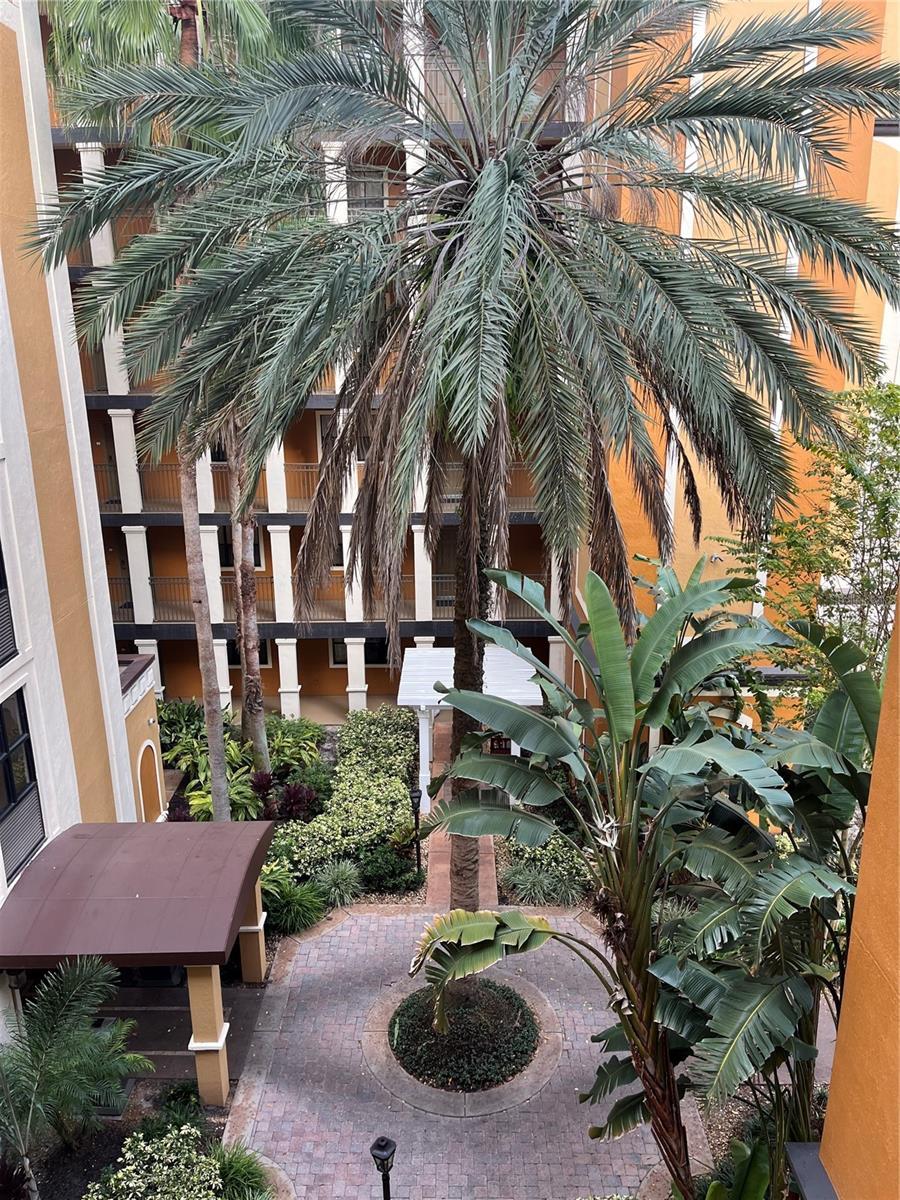 Photo #33