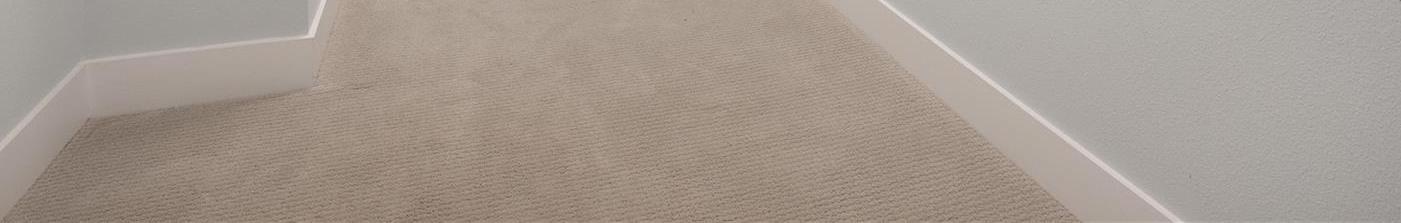 Photo #24