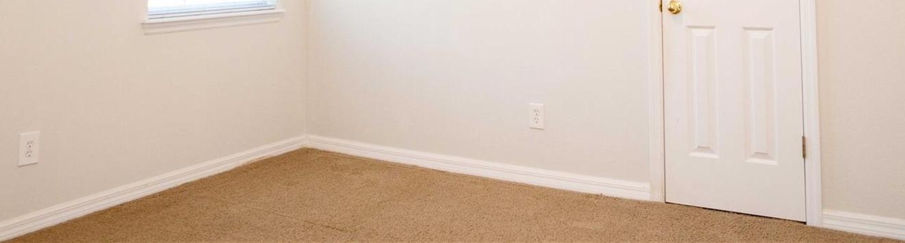 Photo #15