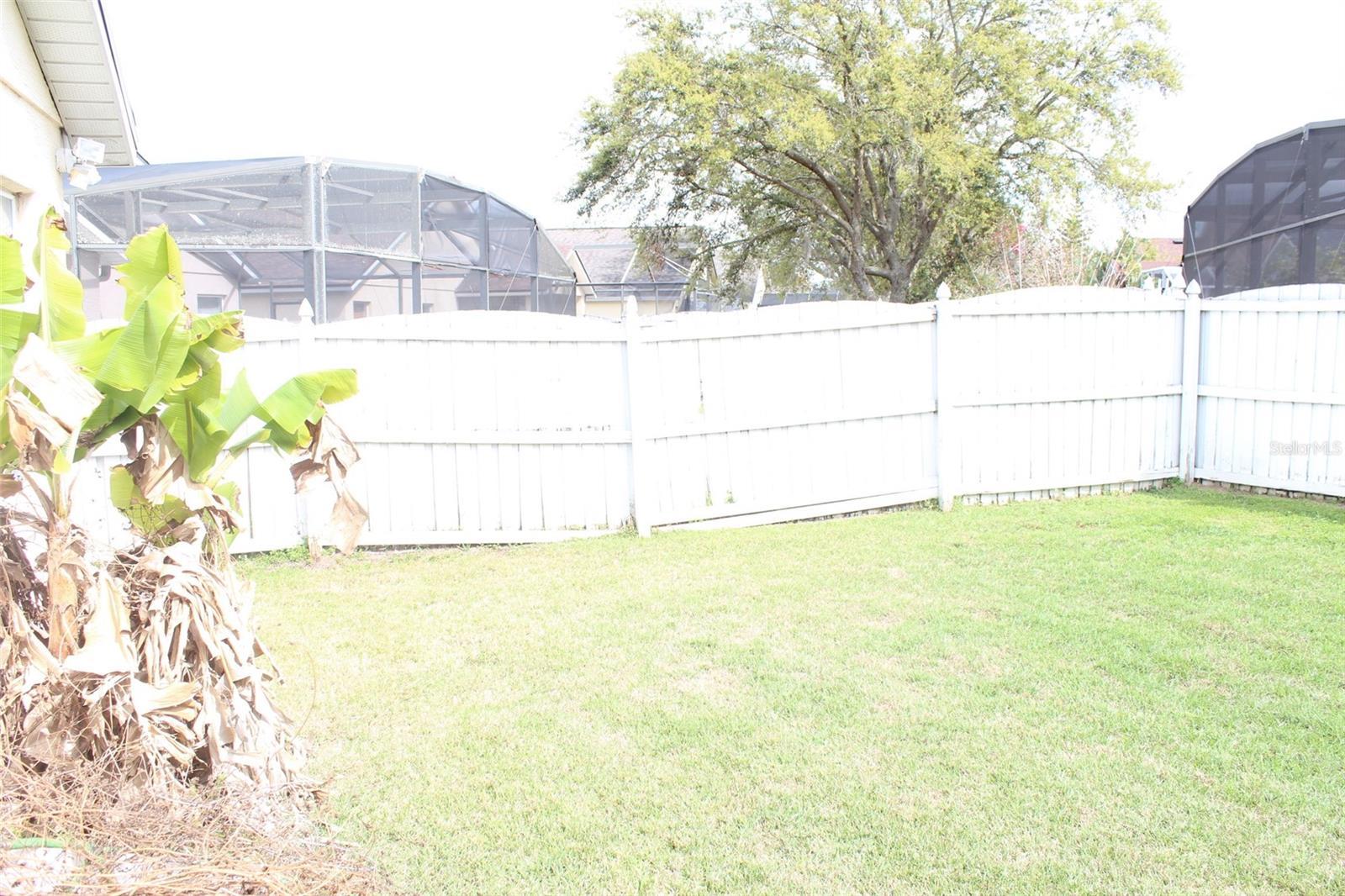 Photo #56