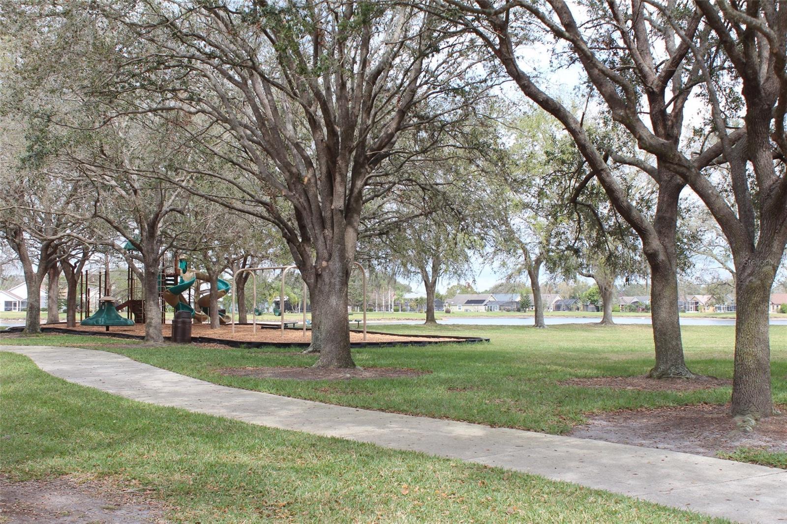 Photo #67