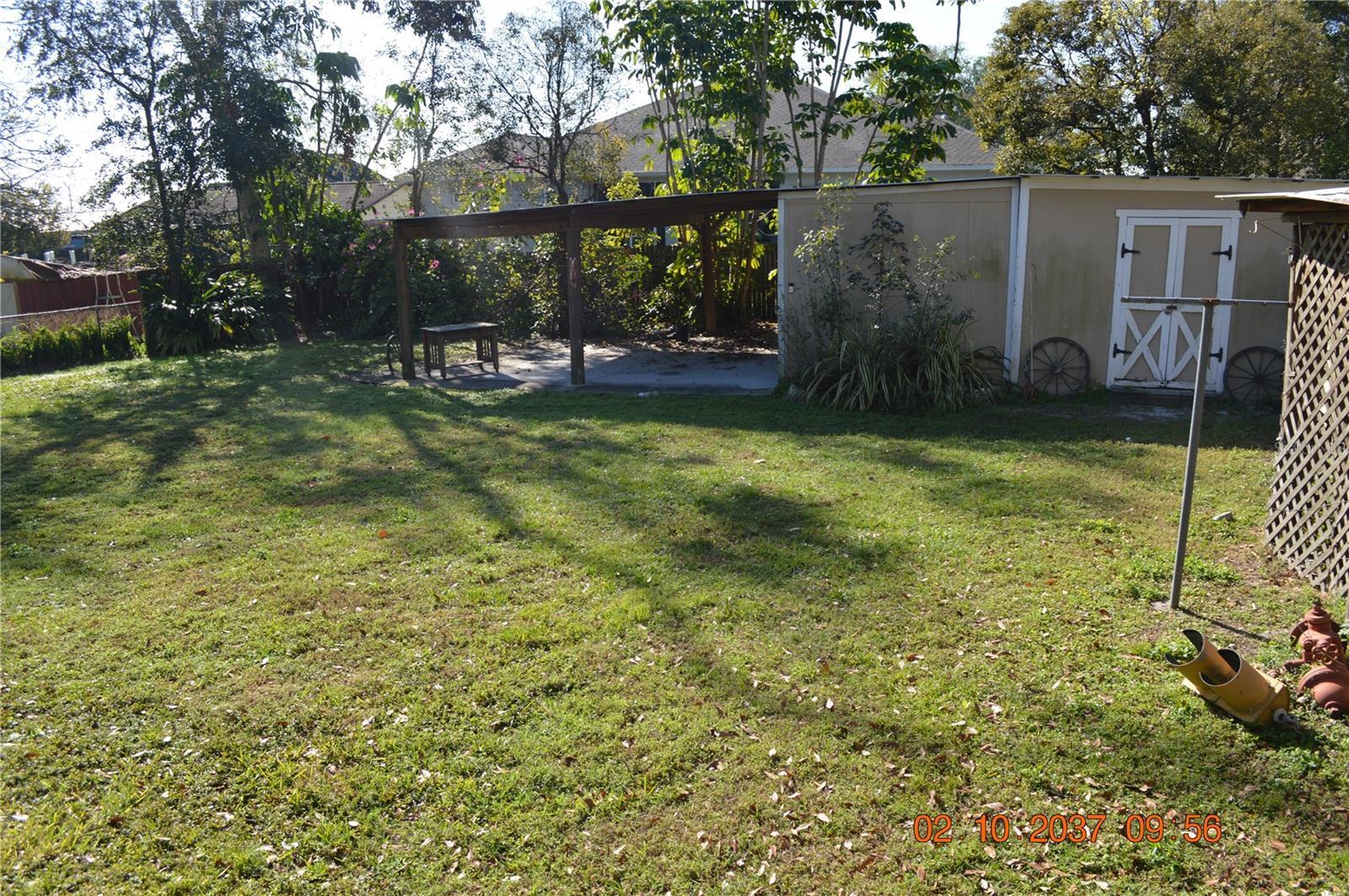 Photo #11