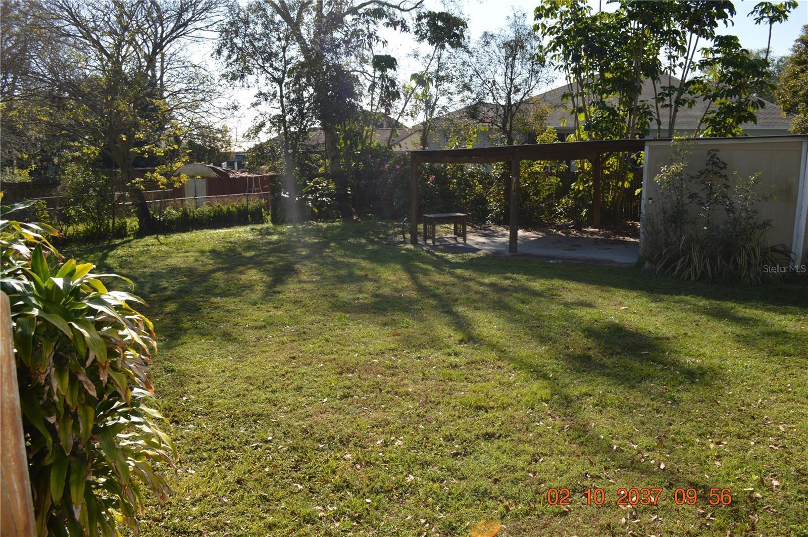 Photo #10