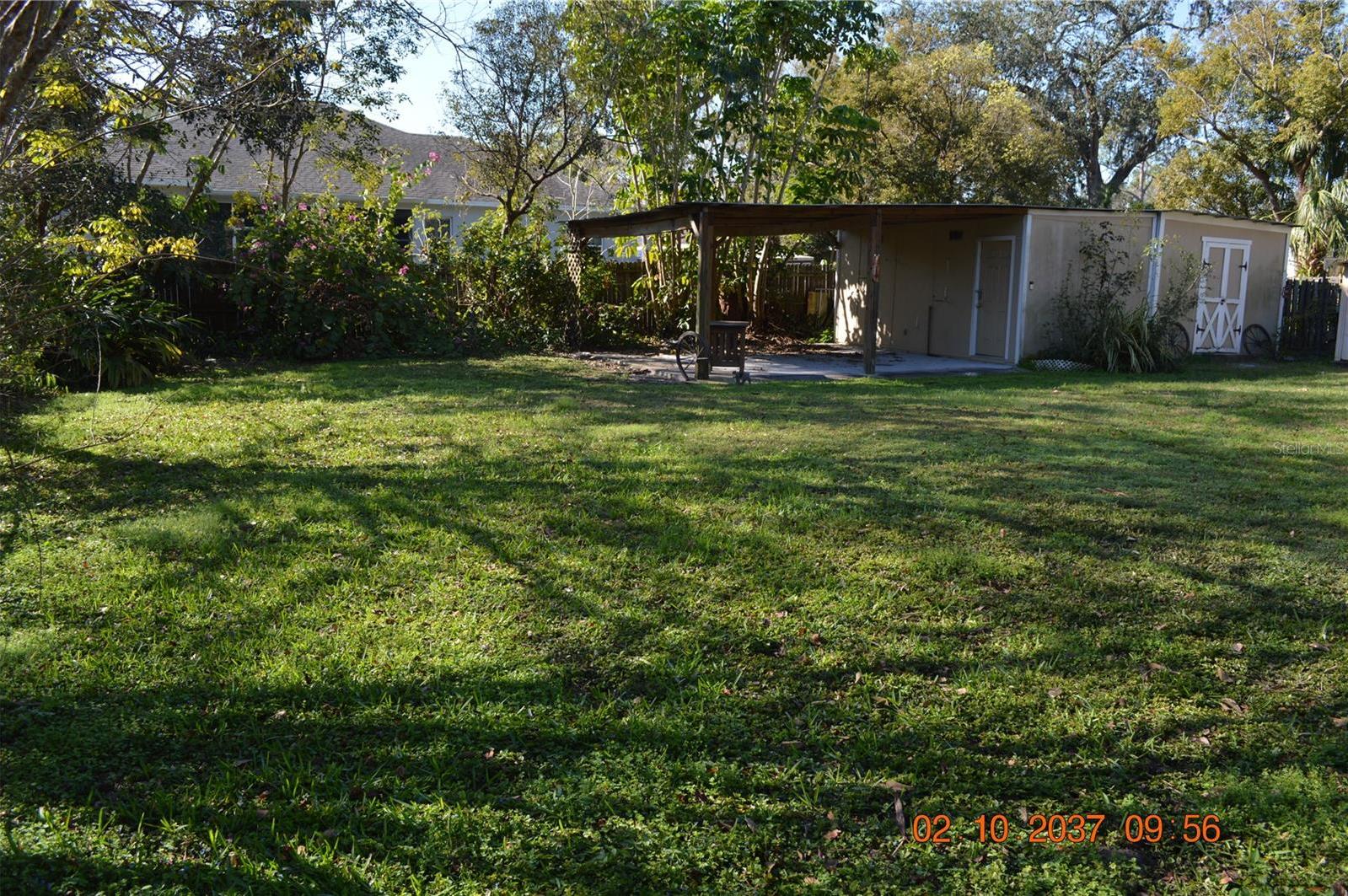 Photo #6