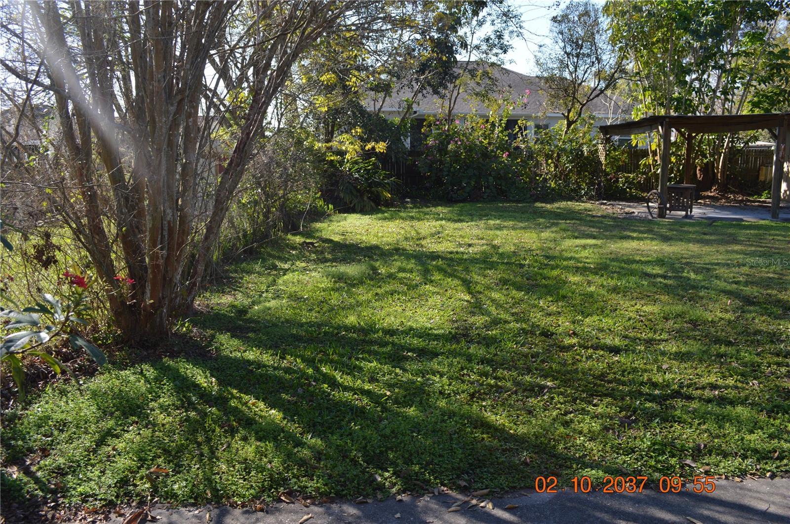 Photo #5
