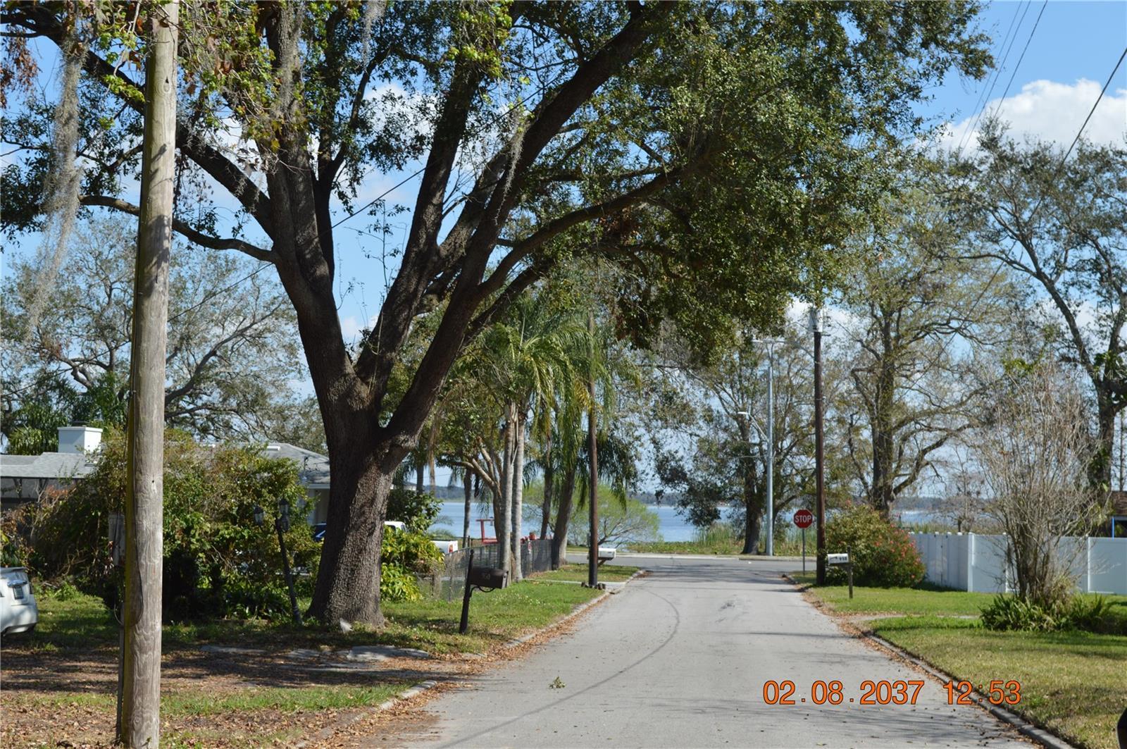Photo #28
