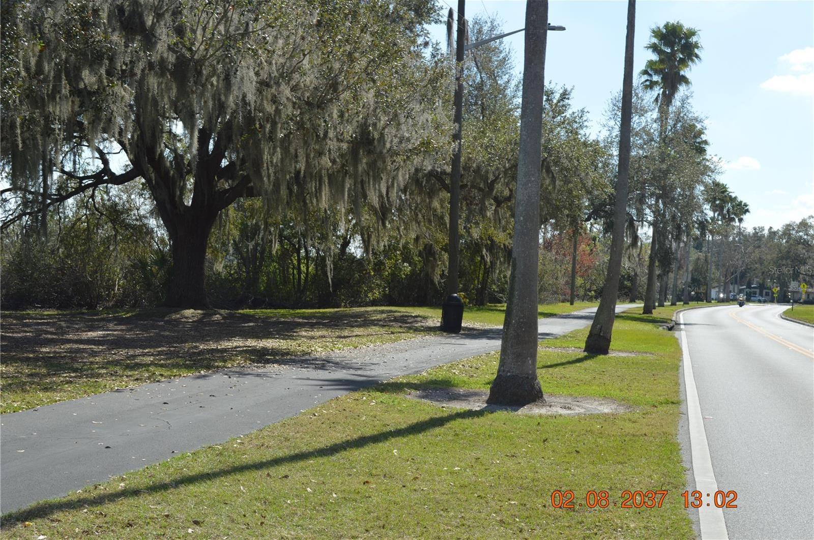 Photo #36