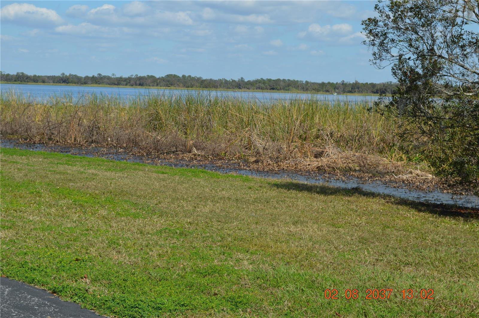 Photo #32