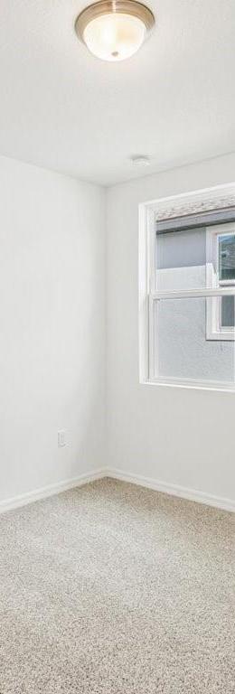 Photo #15