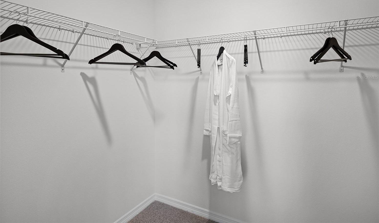 Photo #19