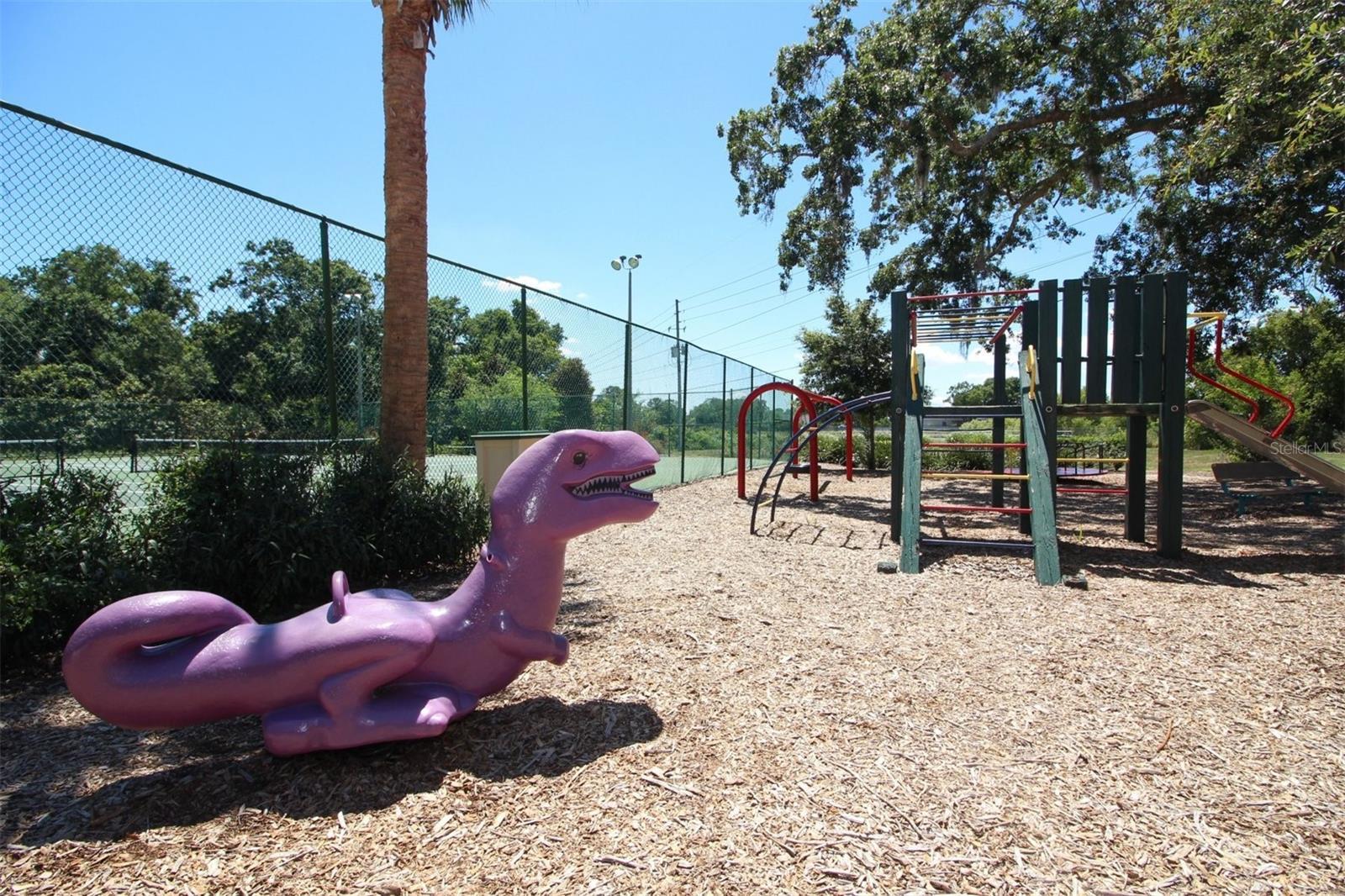 Photo #42