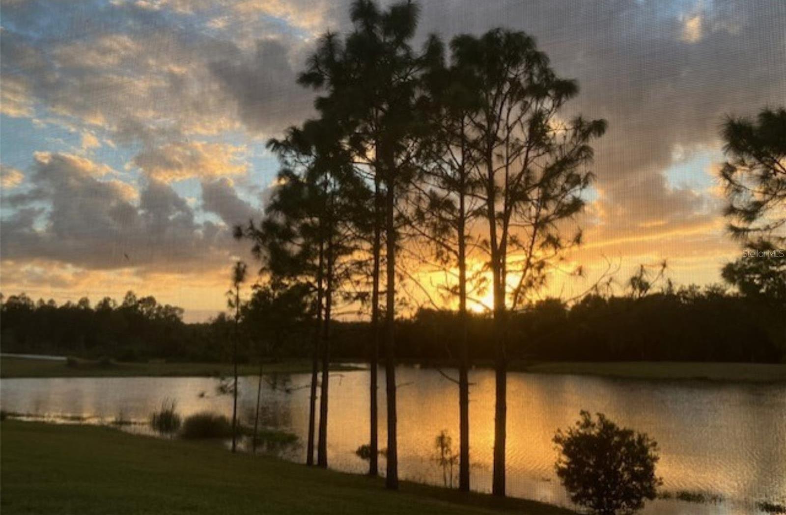 Photo #37