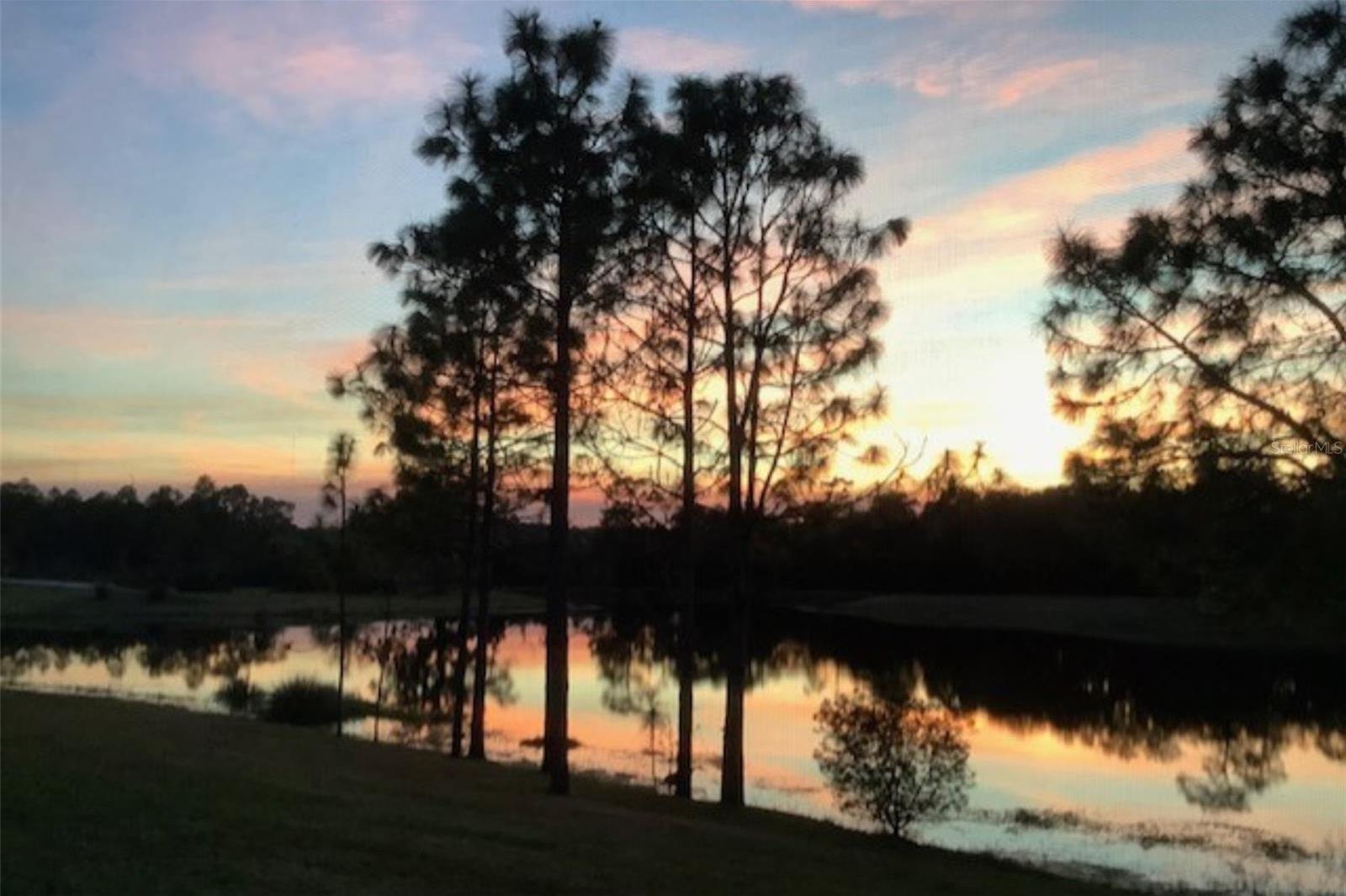 Photo #38
