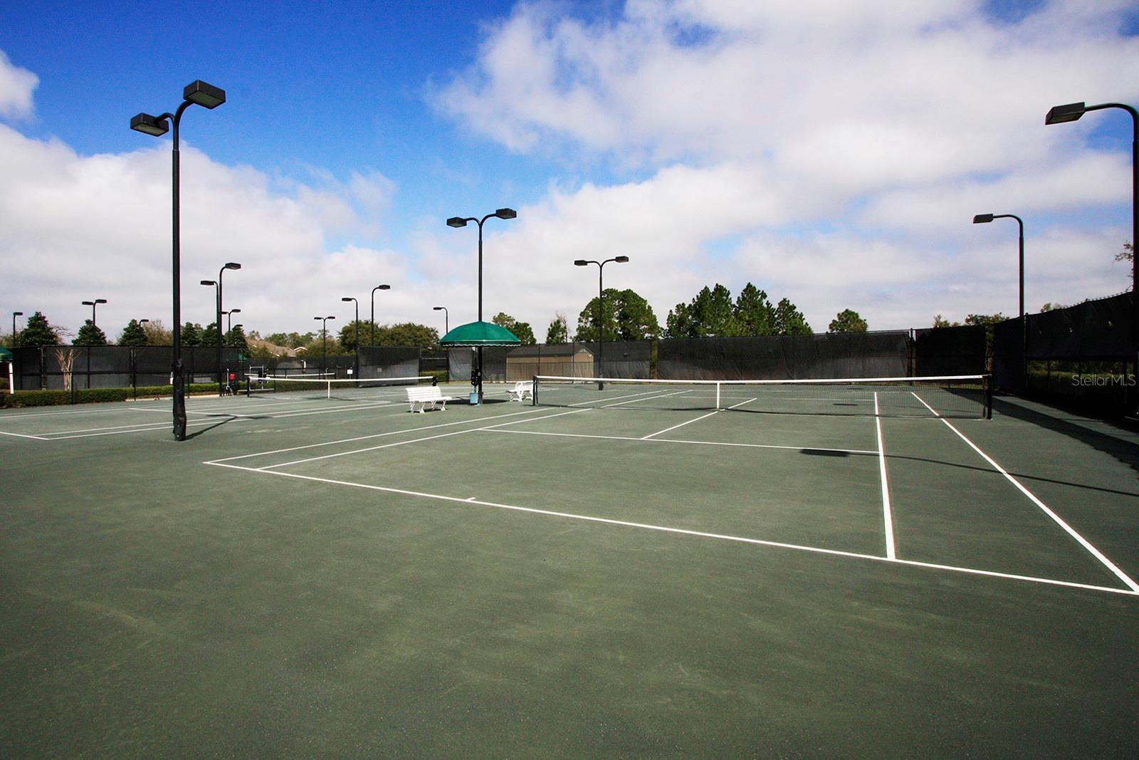 Photo #54