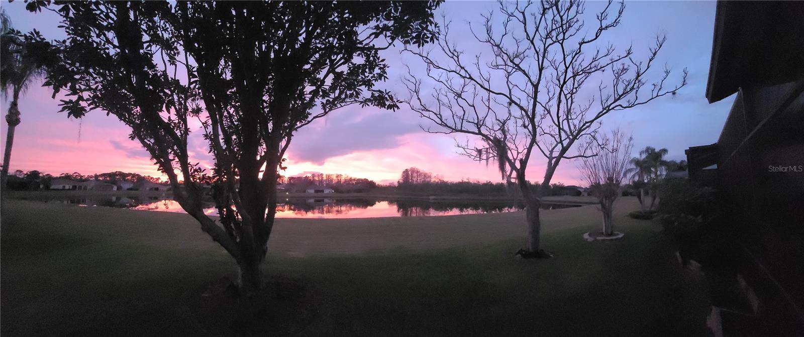Photo #52