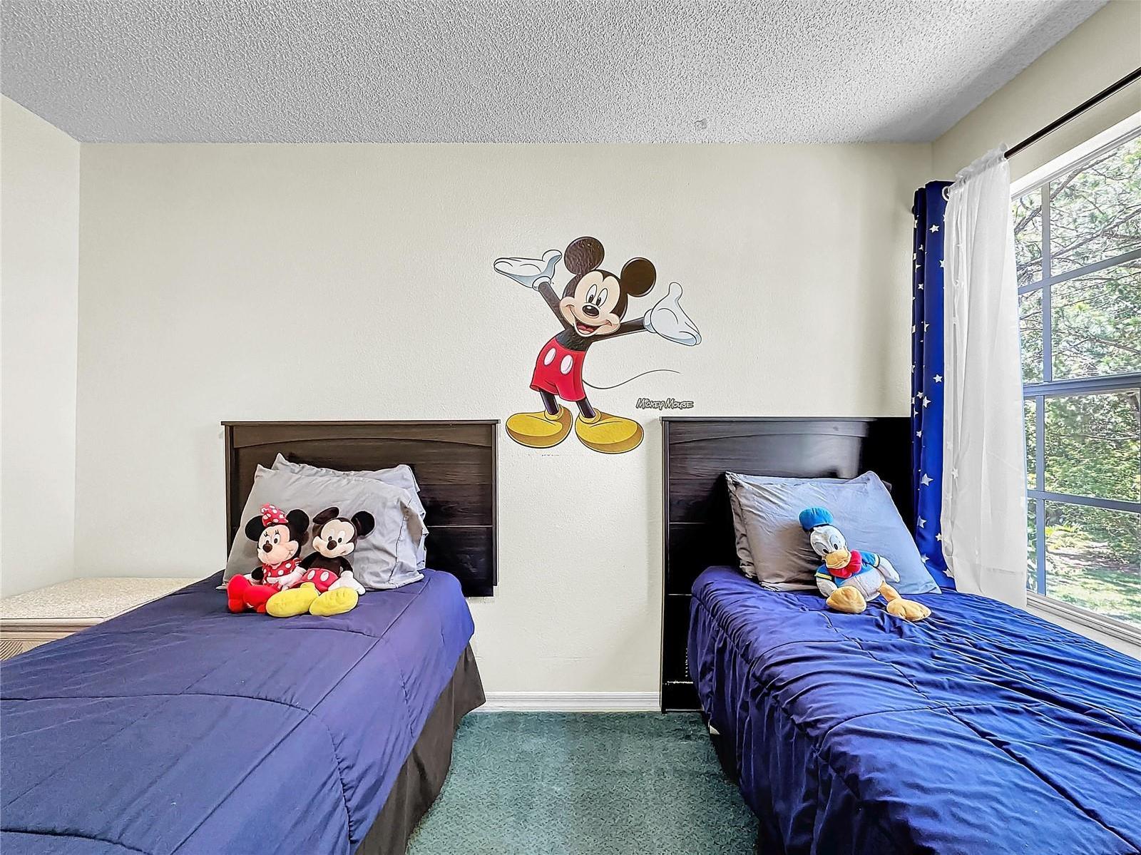 Photo #43